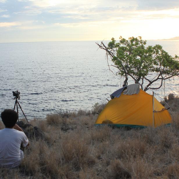 Ein gelbes Zelt steht am Ufer, während eine Person eine Kamera auf das Meer richtet.
