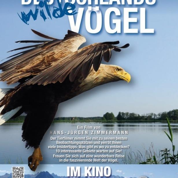 Ein Filmposter für „Deutschlands wilde Vögel“ mit einem fliegenden Seeadler im Vordergrund.