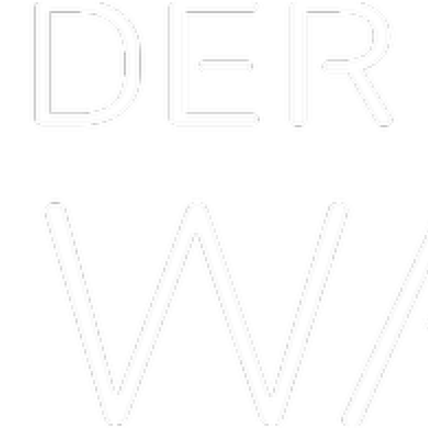 Schriftzug „Der Schwarm“ in weißer Schrift auf schwarzem Hintergrund.