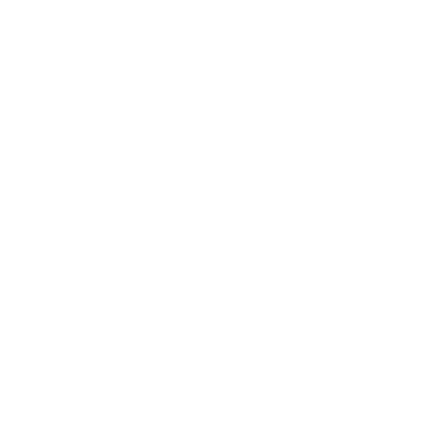 Der Schriftzug „Schumacher“ in weißer, fetter Schrift auf schwarzem Hintergrund.