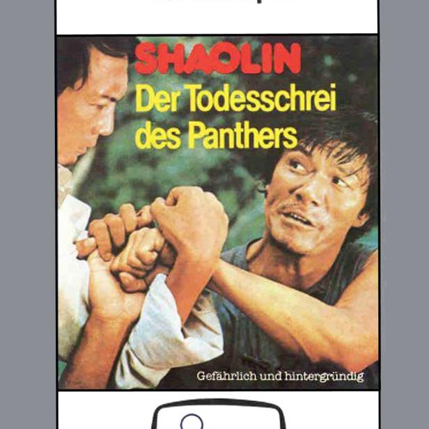 Das Cover des Films „Shaolin: Der Todesschrei des Panthers“ zeigt zwei Männer im Kampf.