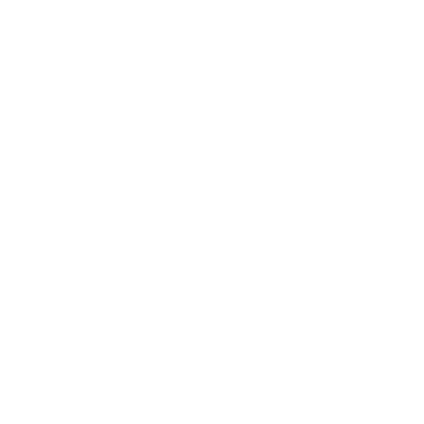 Das stilisierte Logo „Almost Fly“ in Weiß auf schwarzem Hintergrund.