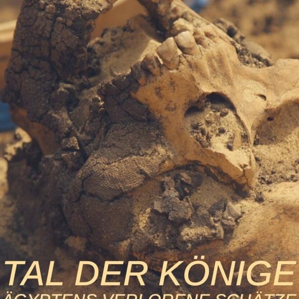 Der Schädel eines alten Ägypters, möglicherweise aus dem Tal der Könige.
