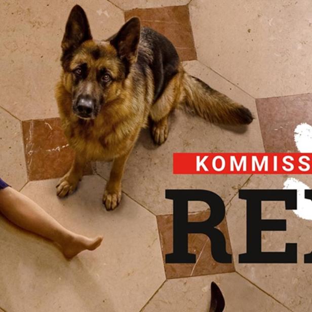 Der Schäferhund sitzt neben einer Frauenleiche