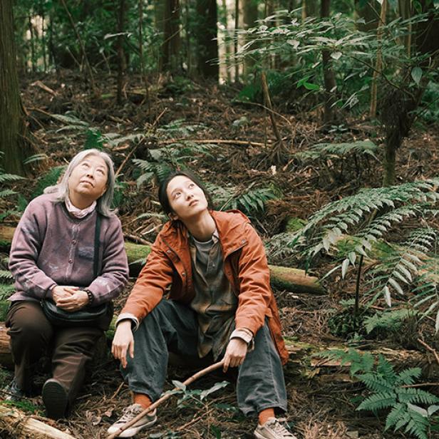 Junge und ältere Frau sitzen auf Baumstamm in einem Wald neben Farnen