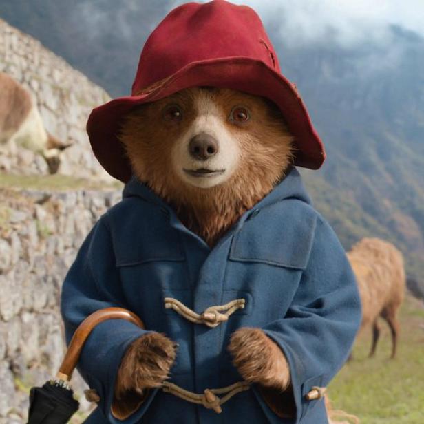 Paddington-Bär unterwegs in den Anden