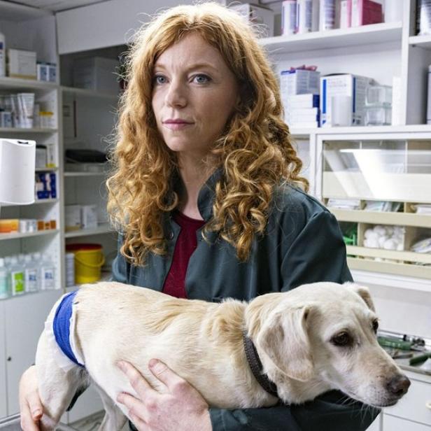Eine Tierärztin mit rotem Haar hält einen hellen Hund mit einem Verband in einer Praxis vor Regalen mit Medikamenten.