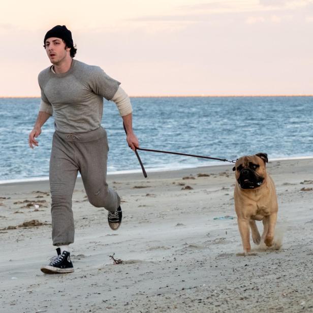 Ein junger Mann in Sportkleidung und Mütze joggt mit seinem Bullmastiff am Strand entlang.