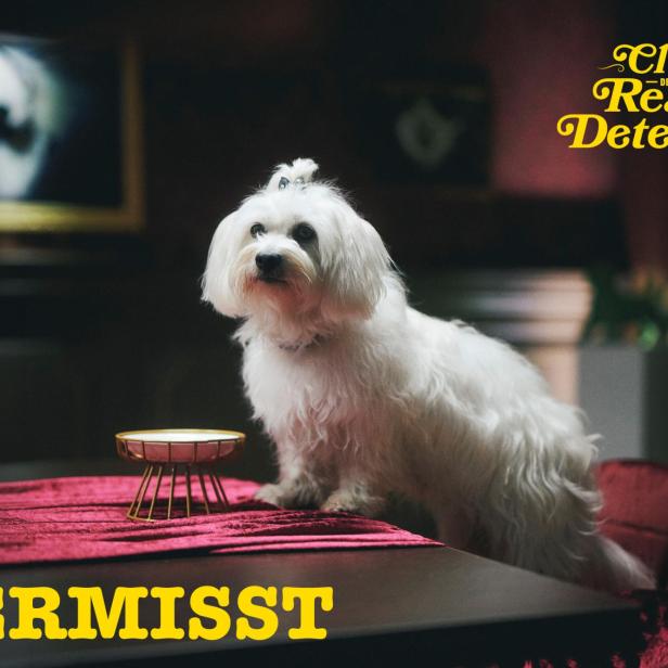 Ein kleiner weißer Hund sitzt neben einem Futternapf auf einem Tisch, darüber steht der Schriftzug „Club der Reality Detektive“ und „VERMISST“.