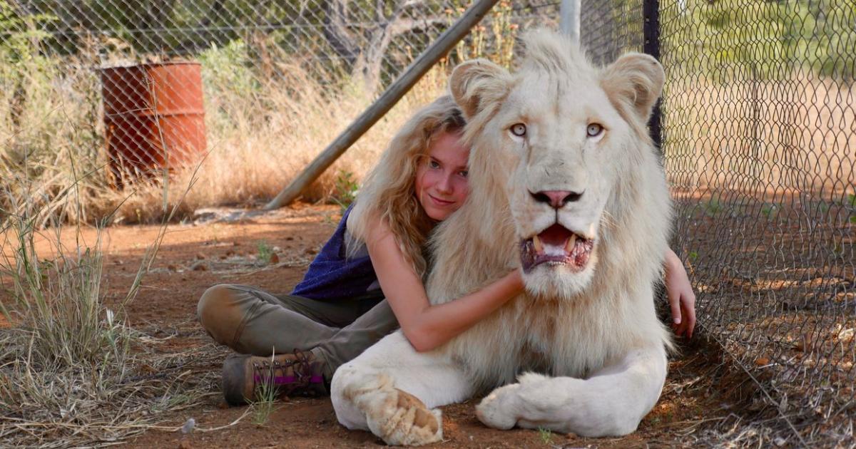 Mia Und Der Weisse Löwe Stream Kinox Mia Und Der Weisse Löwe Stream Kinox