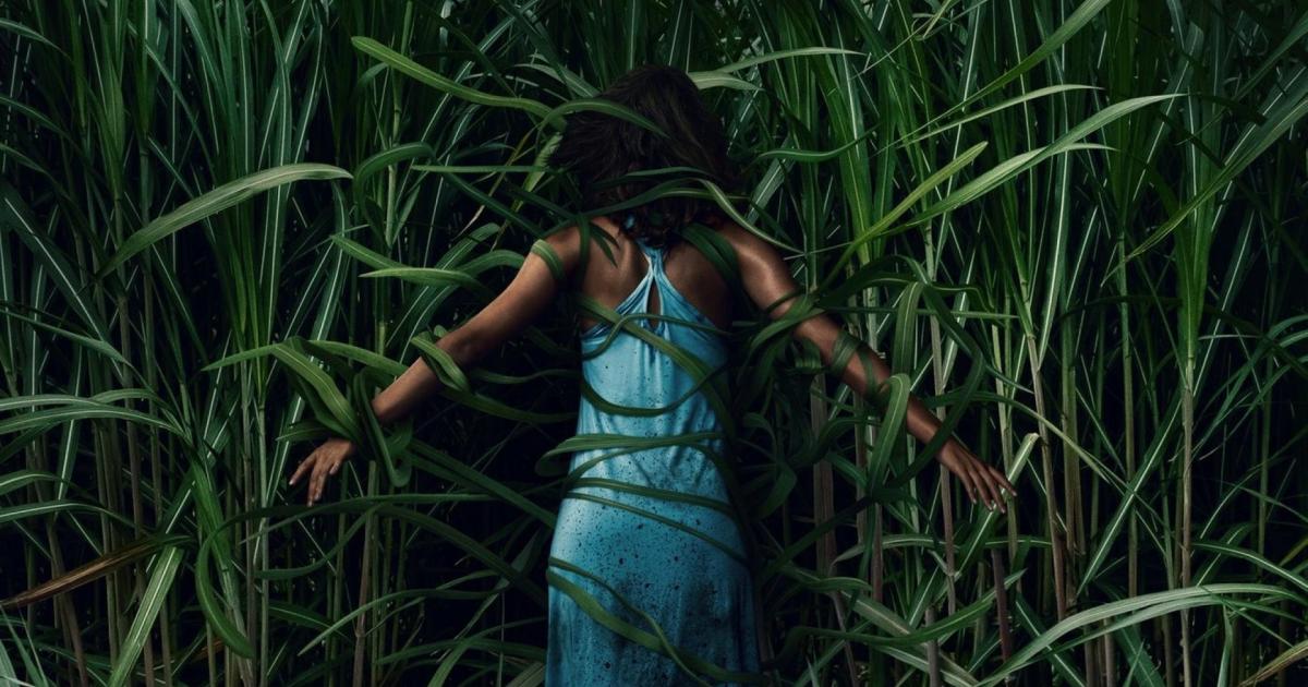 Neu auf Netflix Die StreamingTipps fürs Wochenende