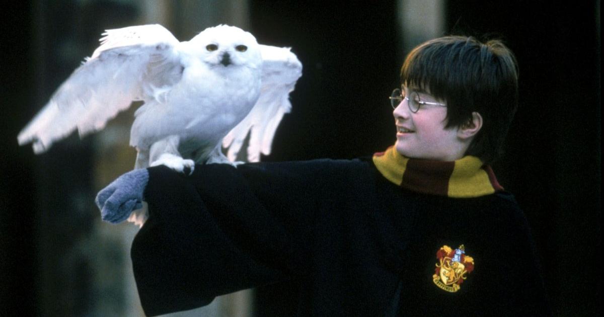 10 beste kinderfilme