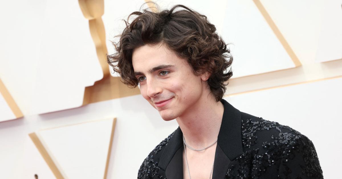 von timothée chalamet gewonnene auszeichnungen