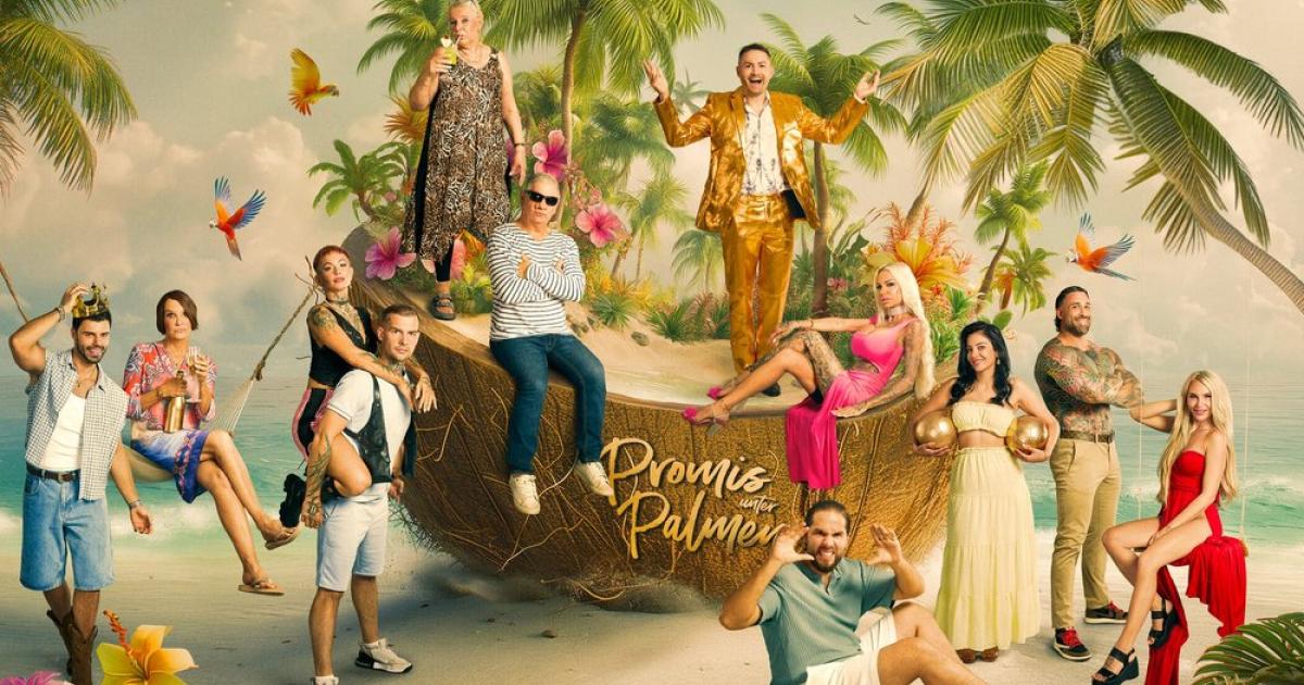  Foto zu Drehstart für "Promis unter Palmen" 2026: Welche Teilnehmer? 