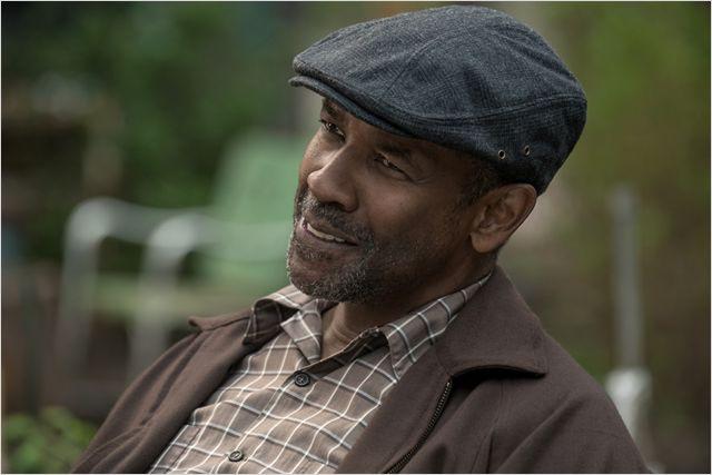 fences 3.jpg
