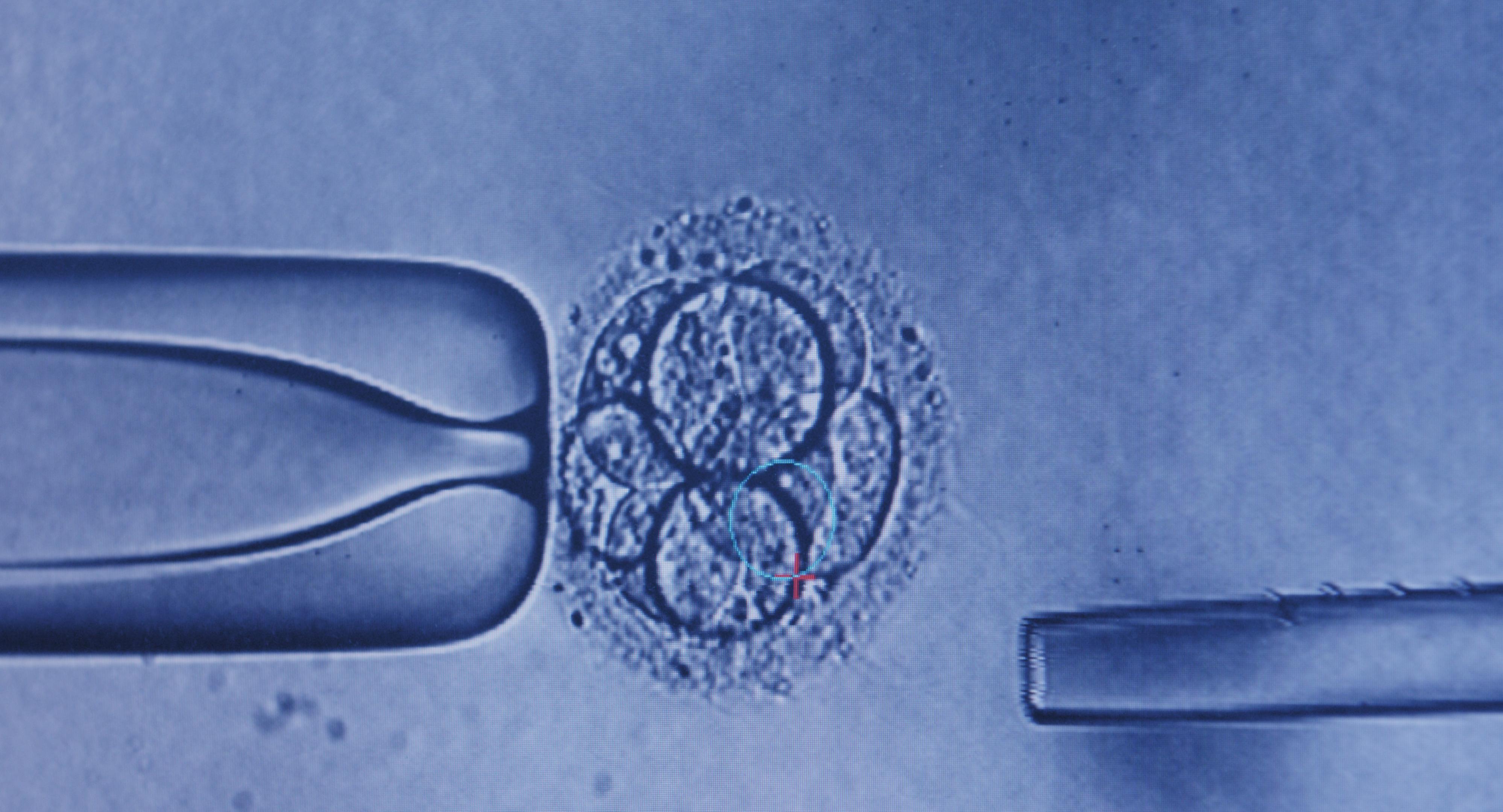 futurebaby-1.jpg