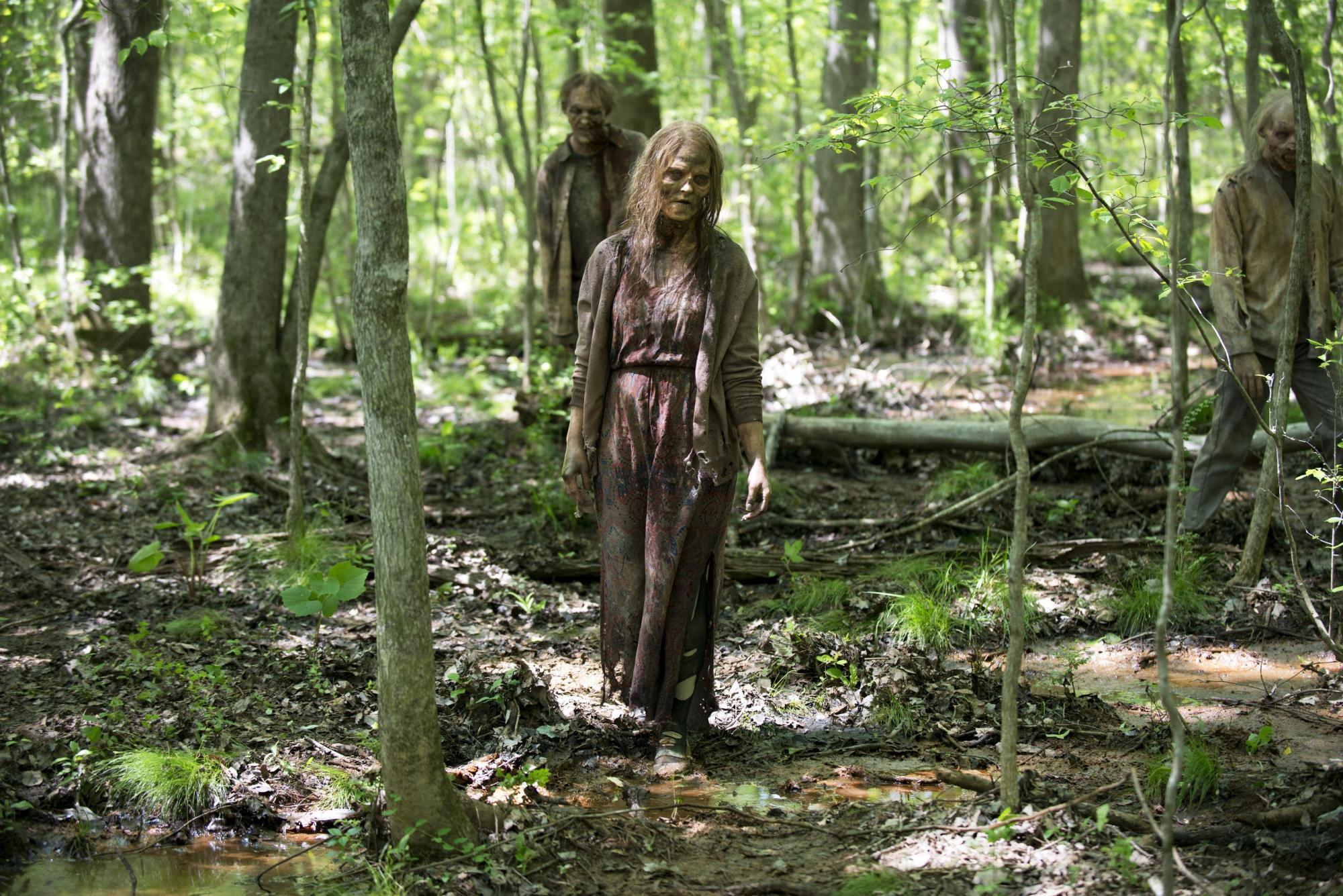 TV-Serie: The Walking Dead