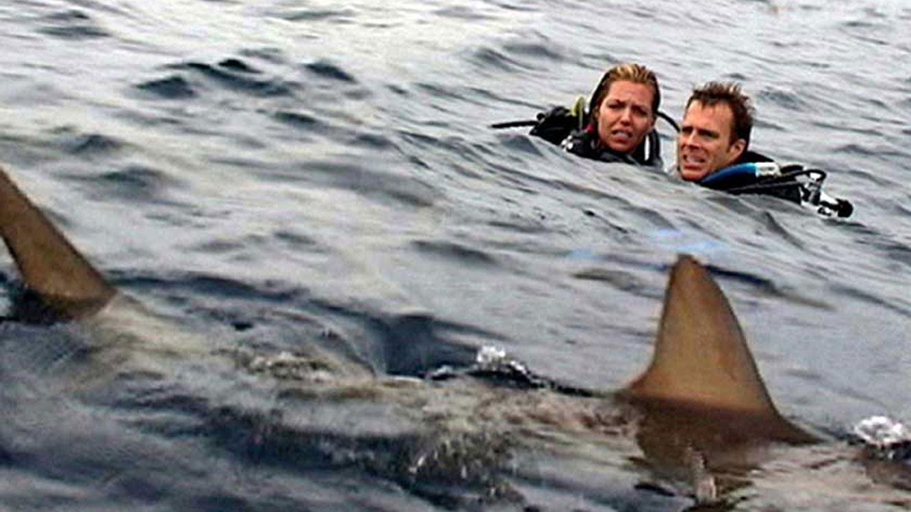 20 sehenswerte Filme, die auf wahren Begebenheiten beruhen
