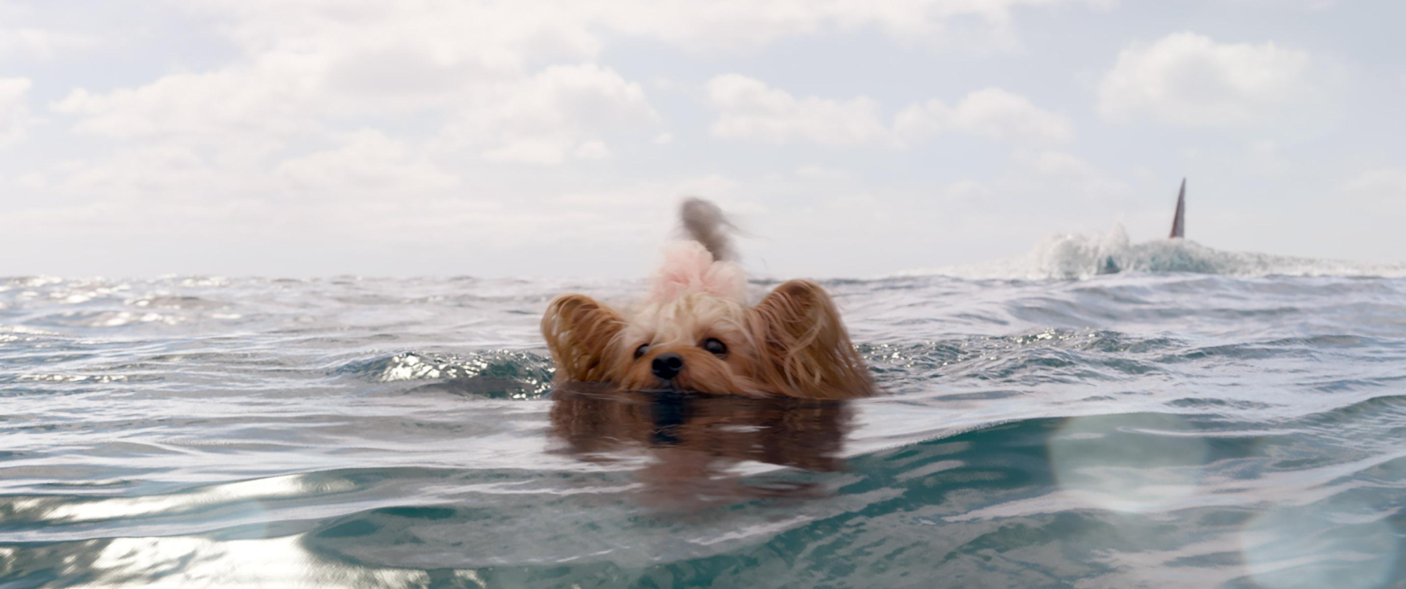 Filmkritik: The Meg