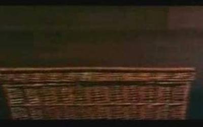 Basket Case Der unheimliche Zwilling